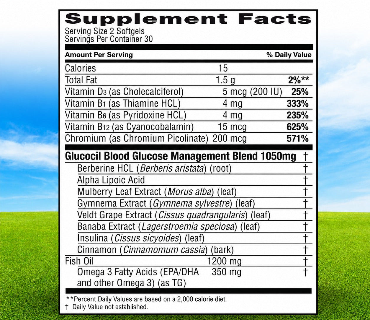Glucocil Premium Blood Sugar Support Dietary Supplement Softgels | 60 Count | Doctor Formulated