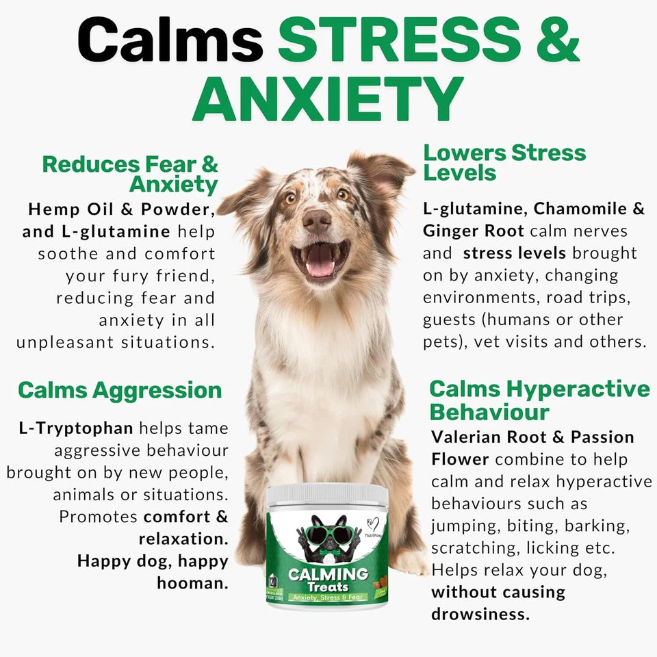 Calming Treats for Dogs – Anxiety, Stress &amp; Fear Relief Chews for Barking, Travel &amp; Aggression Support – 60 Count Natural Calming Supplement for All Breeds