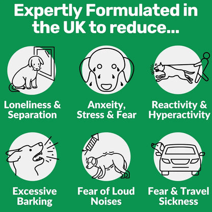 Calming Treats for Dogs – Anxiety, Stress &amp; Fear Relief Chews for Barking, Travel &amp; Aggression Support – 60 Count Natural Calming Supplement for All Breeds